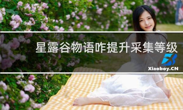 星露谷物语咋提升采集等级