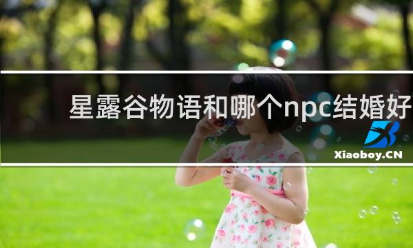 星露谷物语和哪个npc结婚好