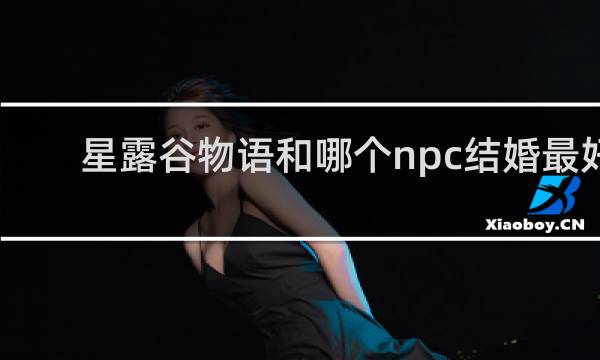 星露谷物语和哪个npc结婚最好