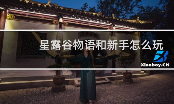 星露谷物语和新手怎么玩