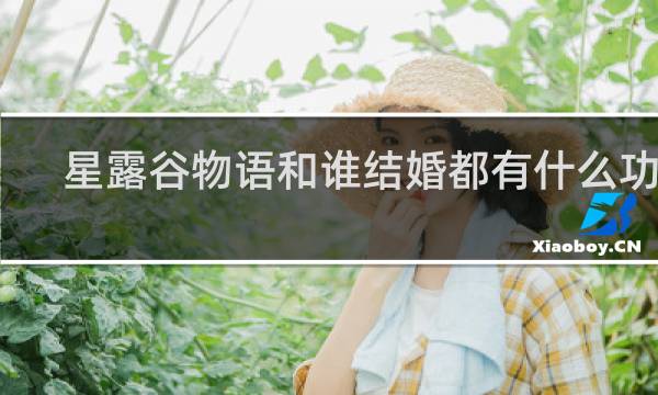 星露谷物语和谁结婚都有什么功能