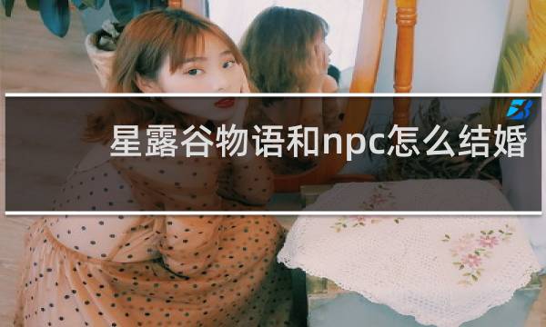 星露谷物语和npc怎么结婚