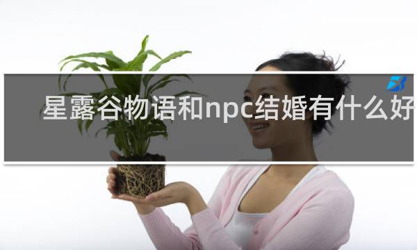 星露谷物语和npc结婚有什么好处