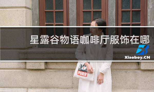 星露谷物语咖啡厅服饰在哪