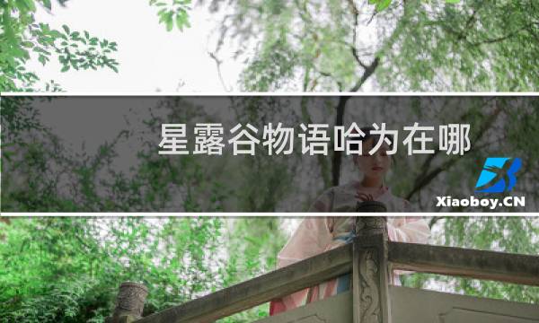 星露谷物语哈为在哪