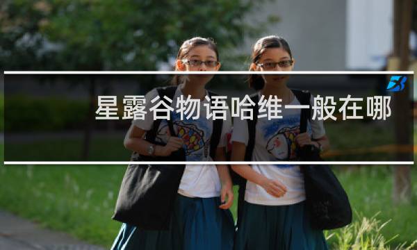 星露谷物语哈维一般在哪