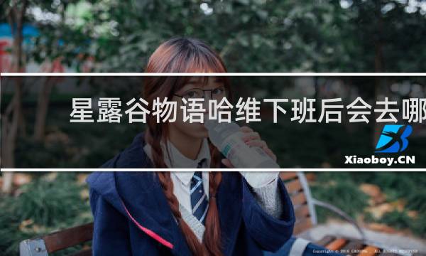 星露谷物语哈维下班后会去哪