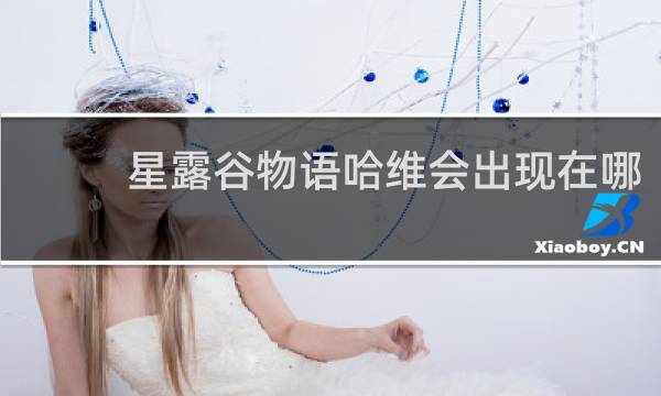 星露谷物语哈维会出现在哪
