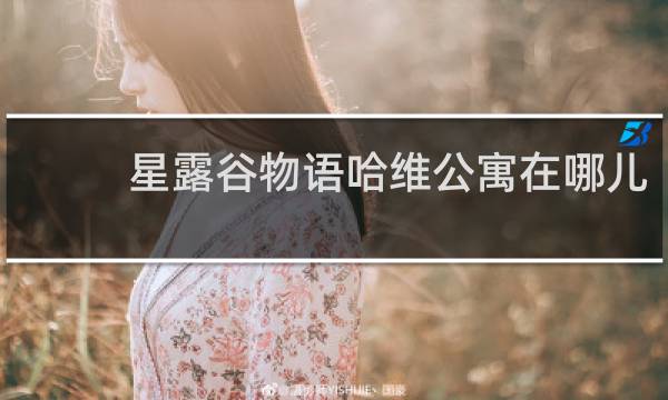 星露谷物语哈维公寓在哪儿