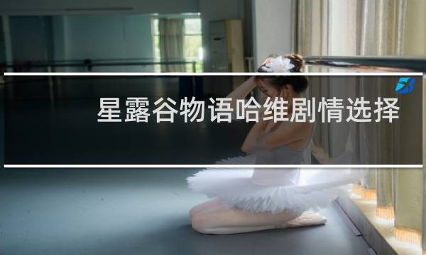 星露谷物语哈维剧情选择