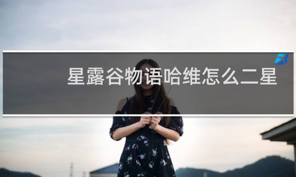 星露谷物语哈维怎么二星