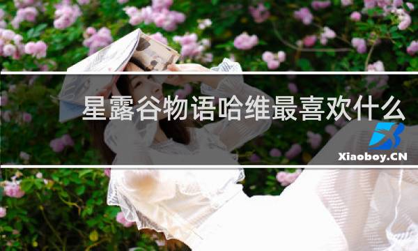 星露谷物语哈维最喜欢什么