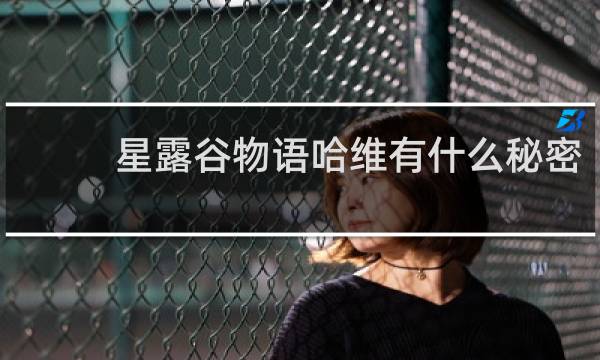 星露谷物语哈维有什么秘密