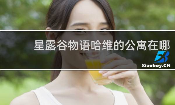 星露谷物语哈维的公寓在哪