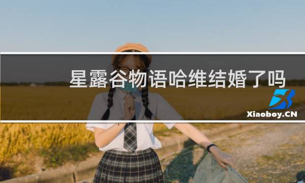 星露谷物语哈维结婚了吗