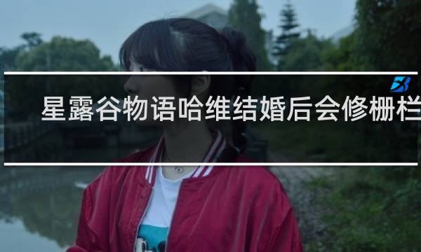 星露谷物语哈维结婚后会修栅栏吗