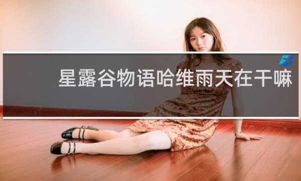 星露谷物语哈维雨天在干嘛