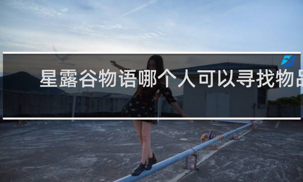 星露谷物语哪个人可以寻找物品