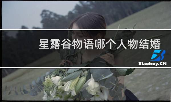 星露谷物语哪个人物结婚