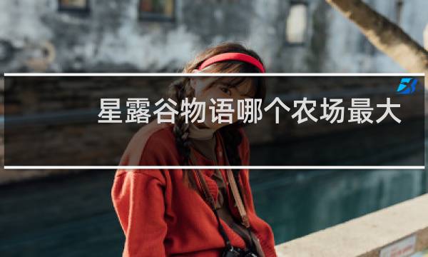 星露谷物语哪个农场最大