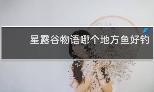 星露谷物语哪个地方鱼好钓