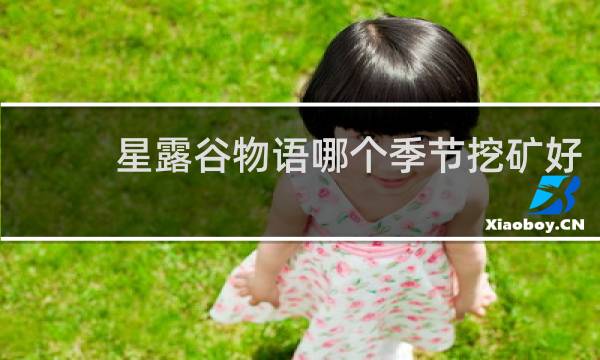 星露谷物语哪个季节挖矿好