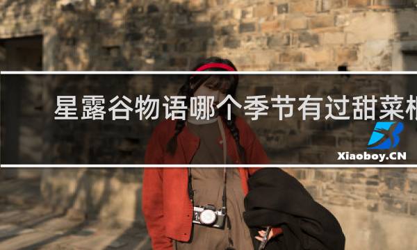 星露谷物语哪个季节有过甜菜根