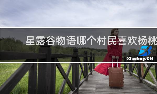 星露谷物语哪个村民喜欢杨桃