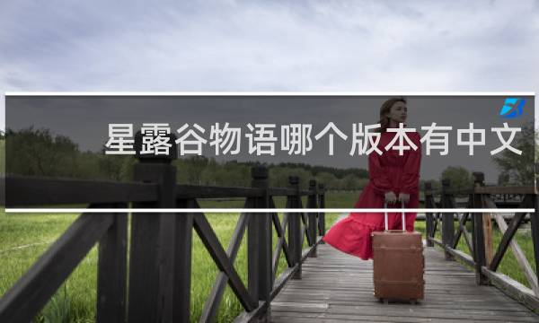 星露谷物语哪个版本有中文