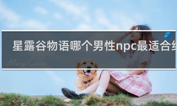 星露谷物语哪个男性npc最适合结婚