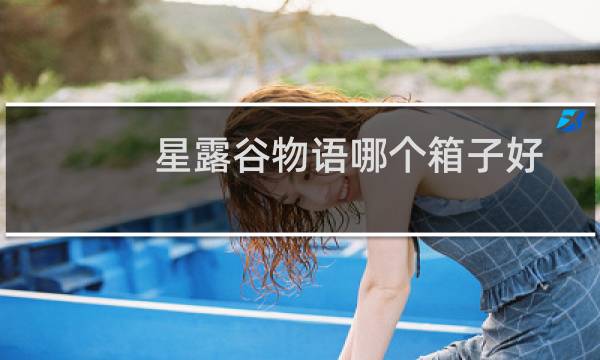 星露谷物语哪个箱子好