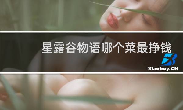 星露谷物语哪个菜最挣钱