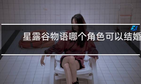 星露谷物语哪个角色可以结婚