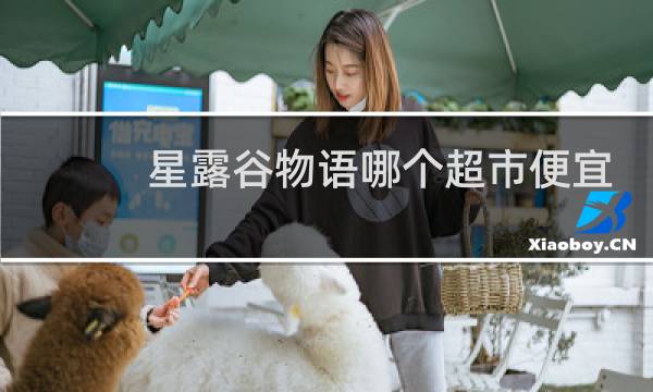 星露谷物语哪个超市便宜