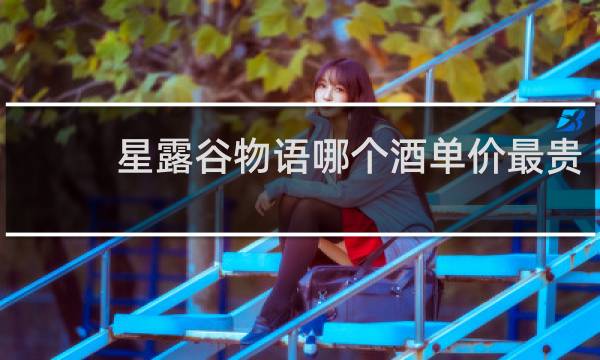 星露谷物语哪个酒单价最贵