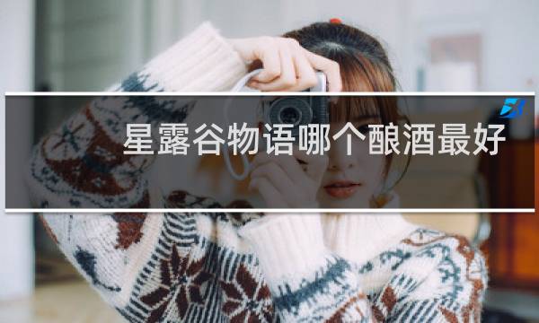 星露谷物语哪个酿酒最好
