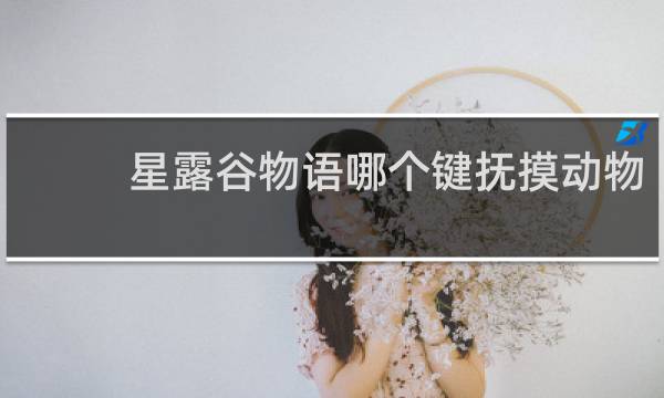 星露谷物语哪个键抚摸动物