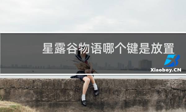 星露谷物语哪个键是放置