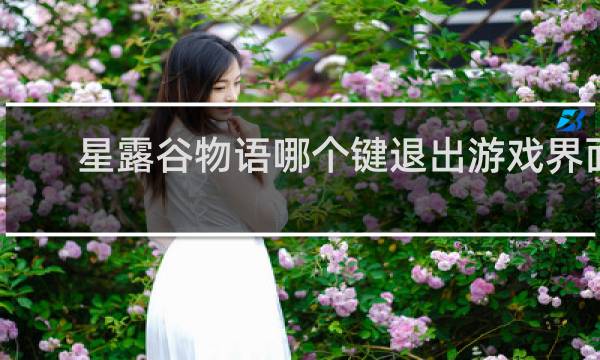 星露谷物语哪个键退出游戏界面