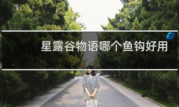 星露谷物语哪个鱼钩好用