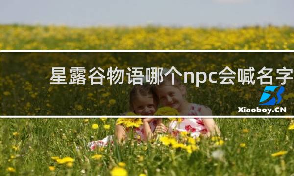 星露谷物语哪个npc会喊名字