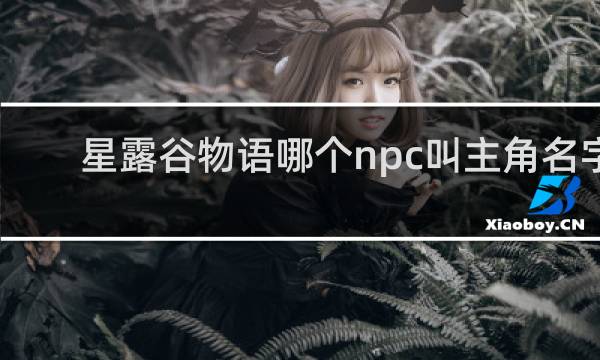 星露谷物语哪个npc叫主角名字
