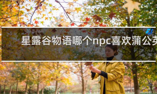 星露谷物语哪个npc喜欢蒲公英