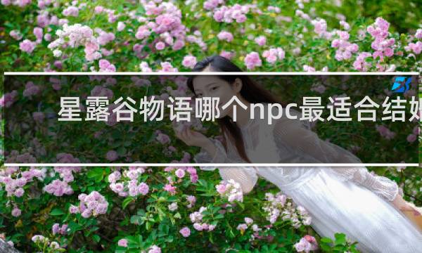 星露谷物语哪个npc最适合结婚