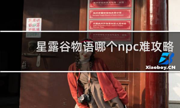 星露谷物语哪个npc难攻略
