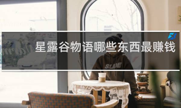 星露谷物语哪些东西最赚钱