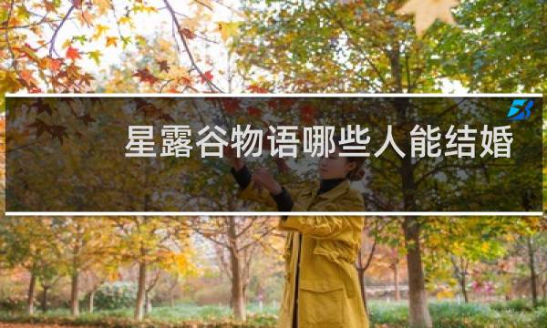 星露谷物语哪些人能结婚