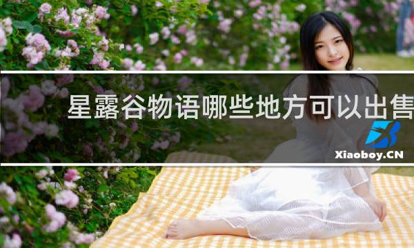 星露谷物语哪些地方可以出售