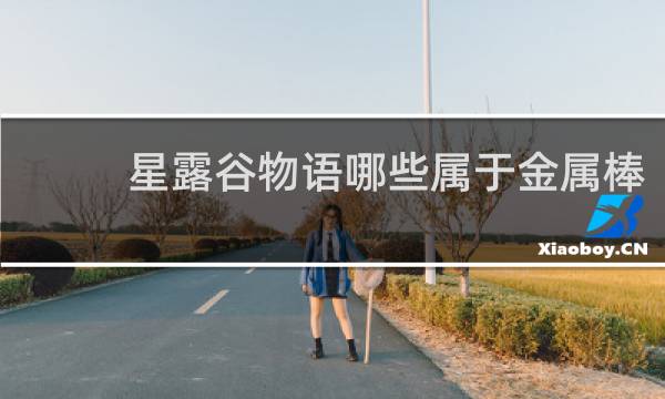星露谷物语哪些属于金属棒