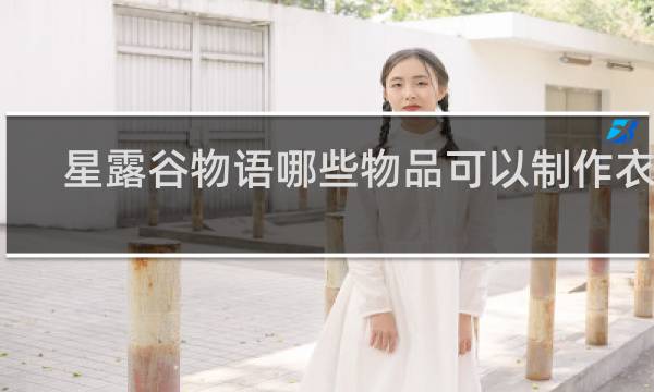 星露谷物语哪些物品可以制作衣服